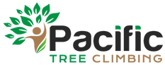 Pacific Tree Climbing